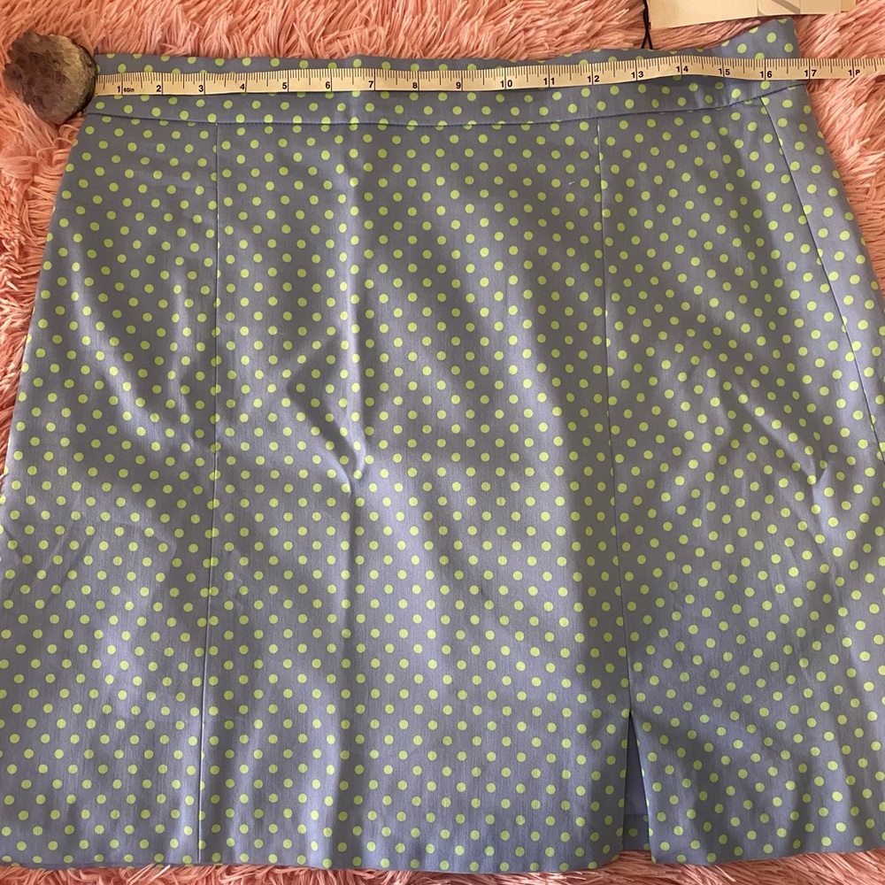 Zara NWT Polka Dot Mini Skirt